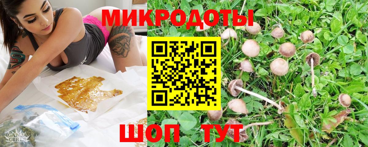 где купить наркоту  Галлюциногенные грибы прущие грибы  Шадринск  Вход с VPN  Псилоцибиновые грибы Magic Shrooms 
